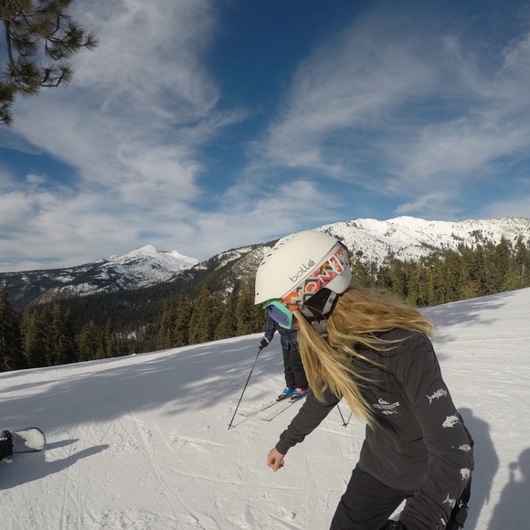 Meet your Posher, Rylie - Picture 1 of 1